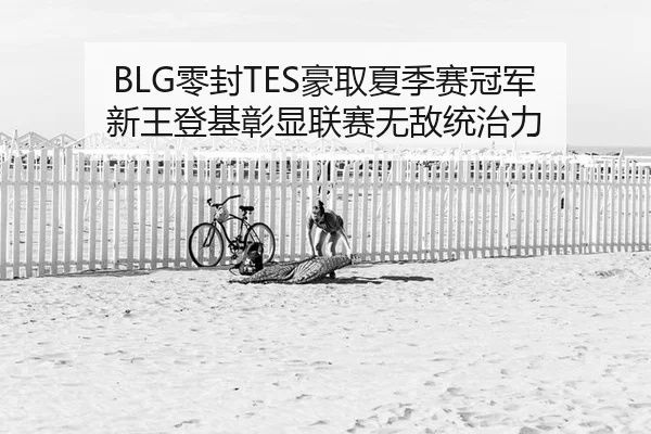 BLG零封TES豪取夏季赛冠军 新王登基彰显联赛无敌统治力